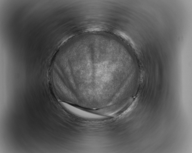 X0000096171353200802151426