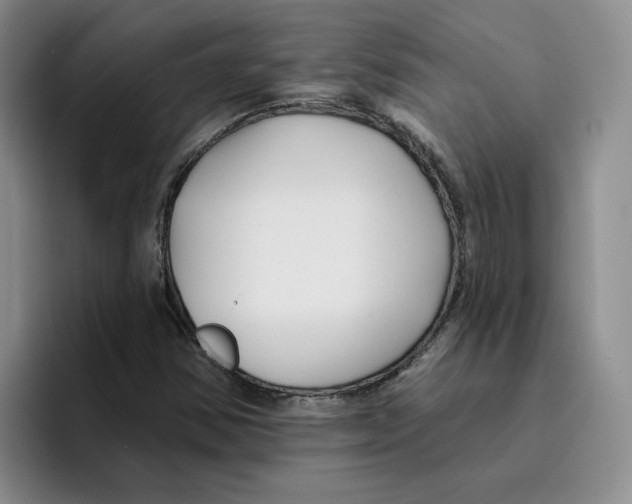 X0000096171354200802151426