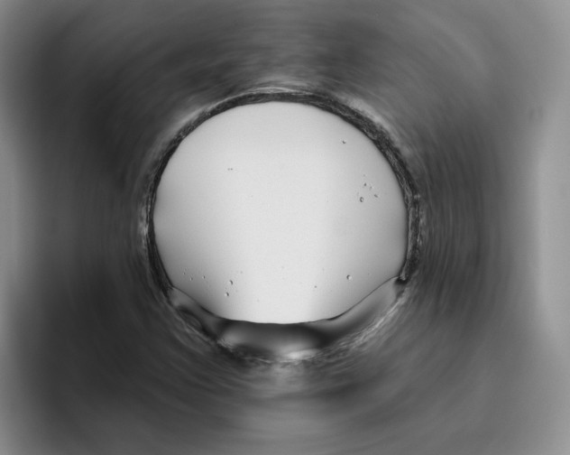 X0000096171355200802151426