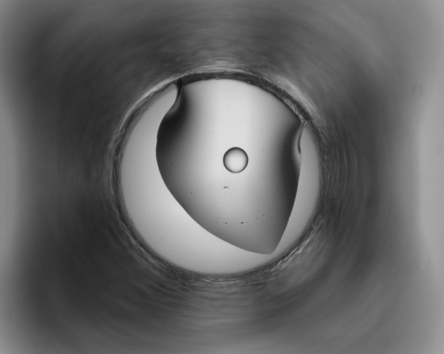 X0000096171356200802151426