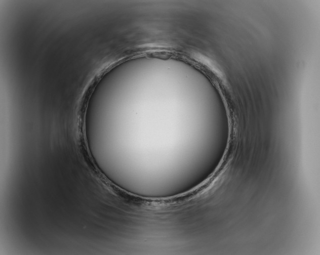 X0000096171357200802151426