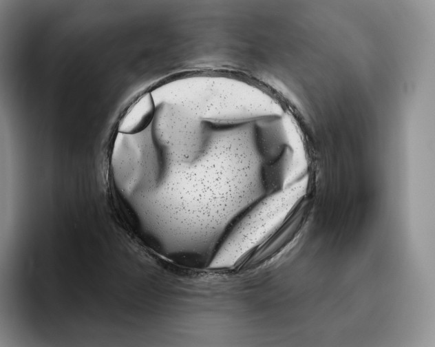 X0000096171358200802151426