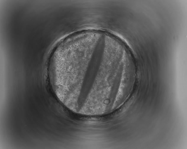 X0000096171359200802151426