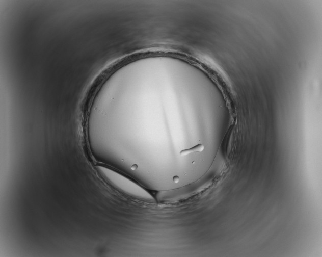 X0000096171360200802151426