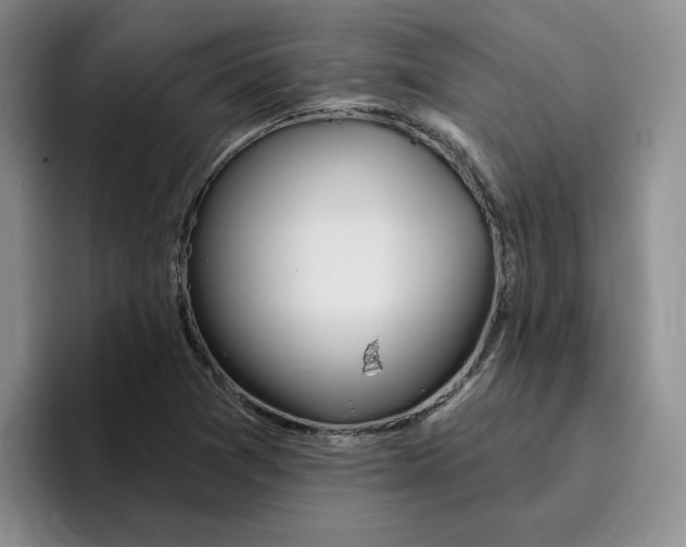 X0000096171361200802151426