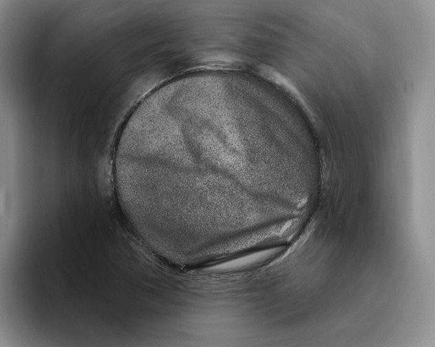 X0000096171362200802151426