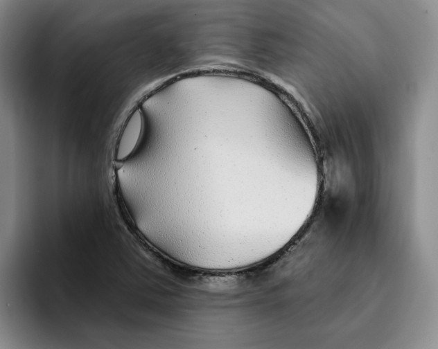 X0000096171363200802151426