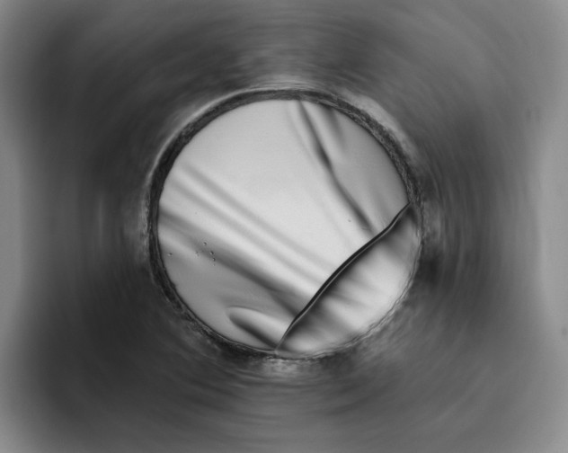 X0000096171364200802151426