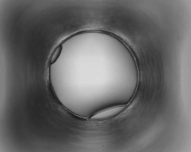 X0000096171366200802151426