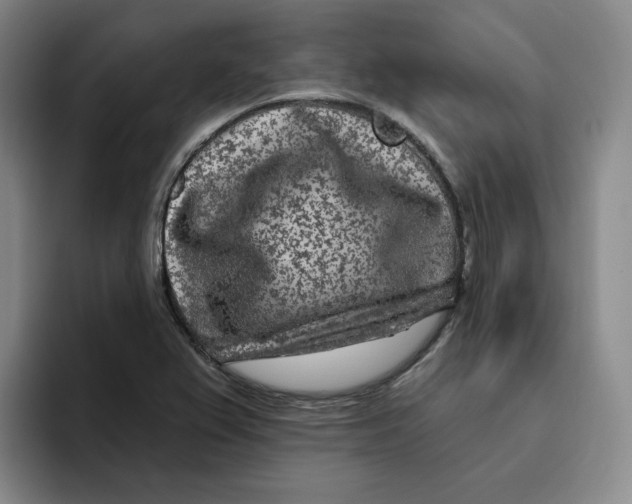 X0000096171367200802151426