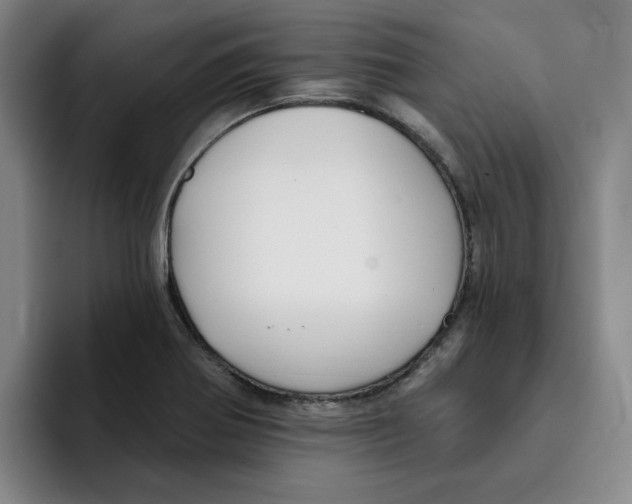 X0000096171370200802151426