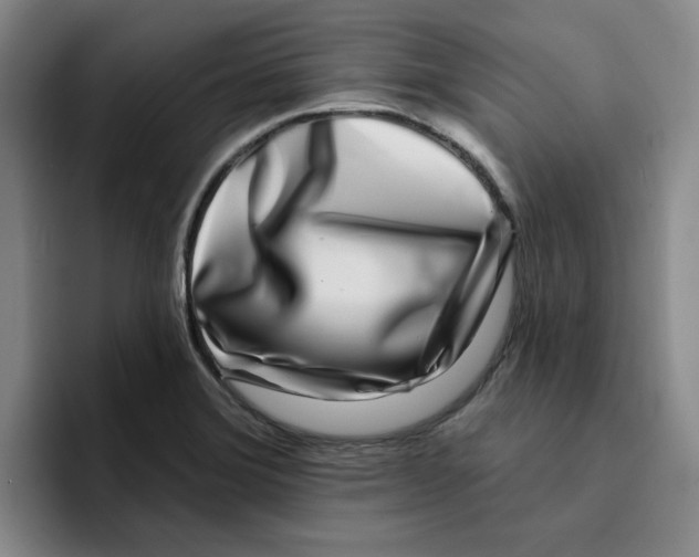 X0000096171372200802151426