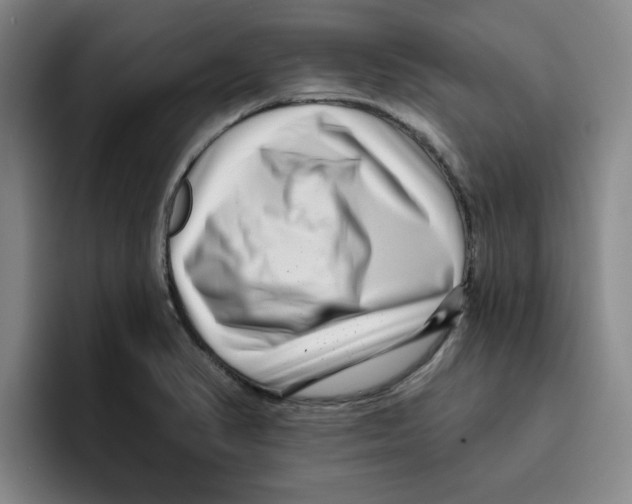 X0000096171374200802151426