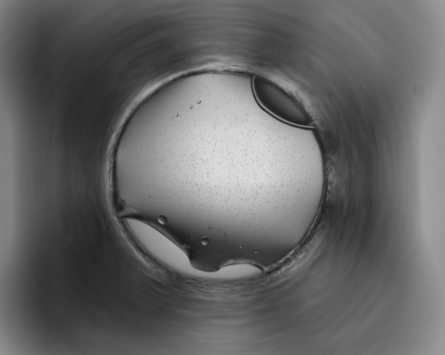 X0000096171375200802151426