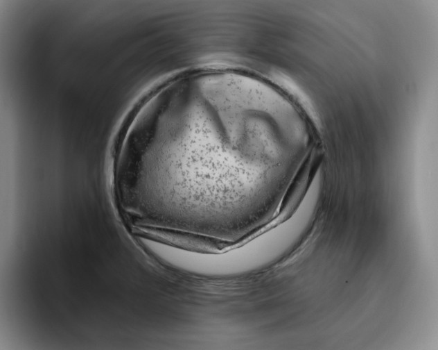 X0000096171376200802151426