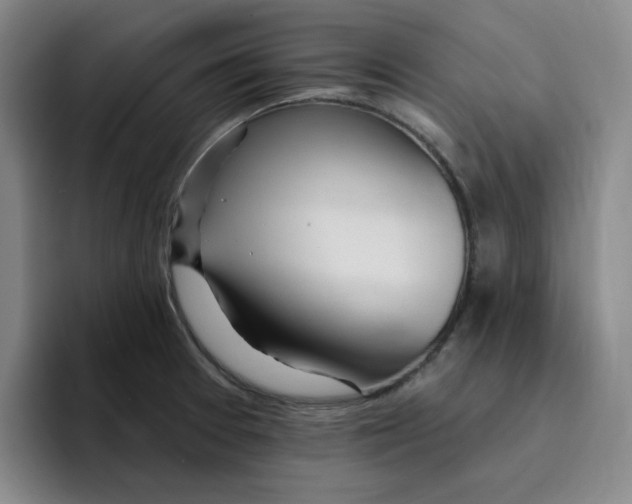 X0000096171377200802151426