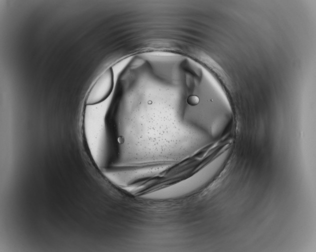 X0000096171378200802151426