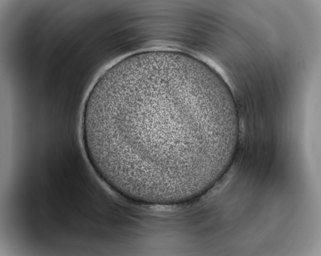 X0000096171379200802151426