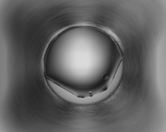 X0000096171380200802151426