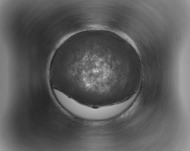 X0000096171381200802151426