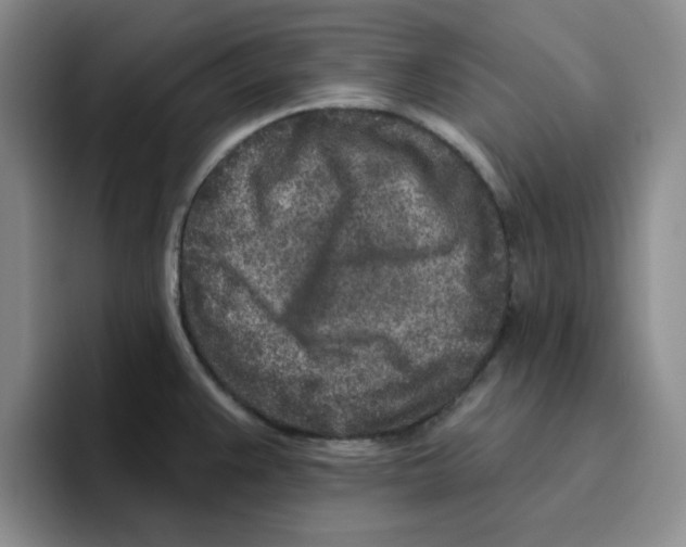 X0000096171383200802151426