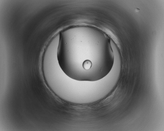 X0000096171384200802151426