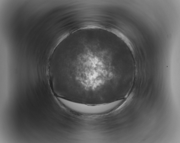 X0000096171385200802151426