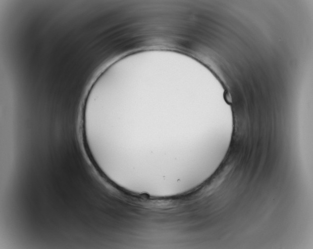 X0000096171387200802151426