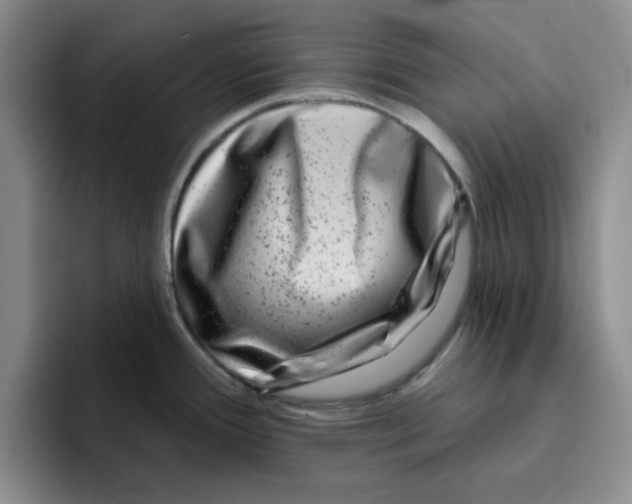 X0000096171388200802151426