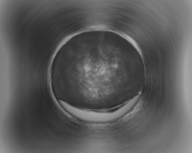 X0000096171389200802151426