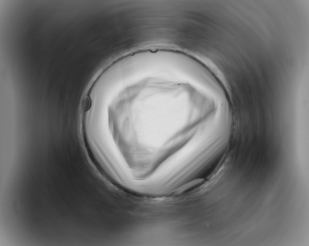 X0000096171390200802151426