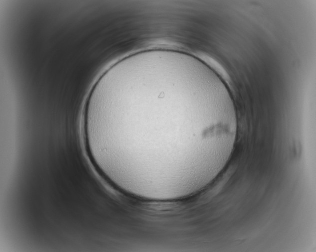 X0000096171391200802151426