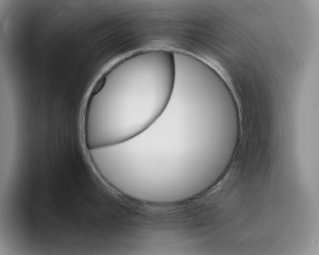 X0000096171392200802151426