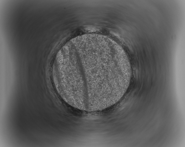 X0000096171393200802151425