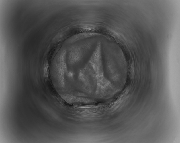 X0000096171394200802151425