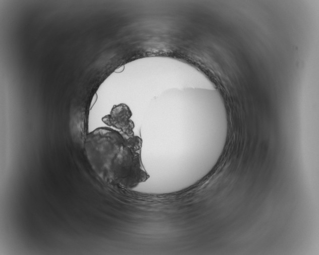 X0000096171396200802151425