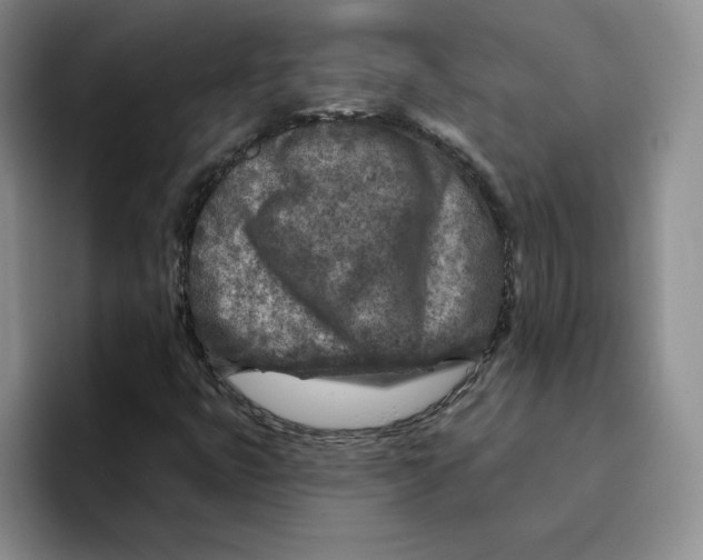 X0000096171399200802151425