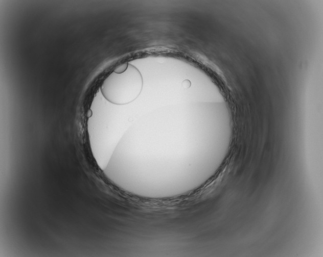 X0000096171400200802151425