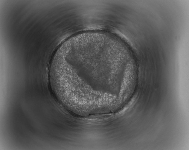 X0000096171401200802151425