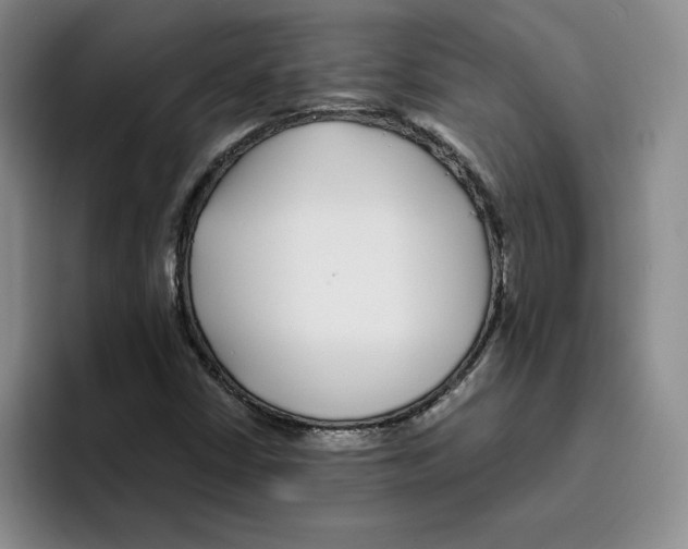 X0000096171402200802151425