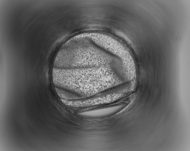 X0000096171403200802151425