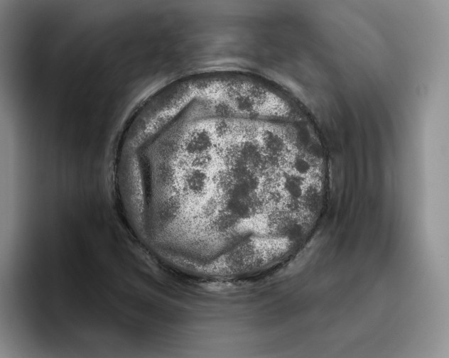 X0000096171405200802151425