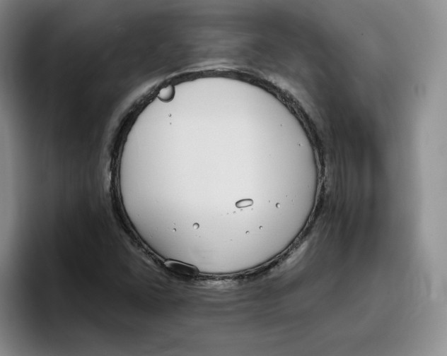 X0000096171406200802151425