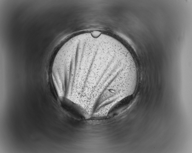 X0000096171407200802151425