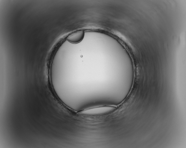 X0000096171408200802151425