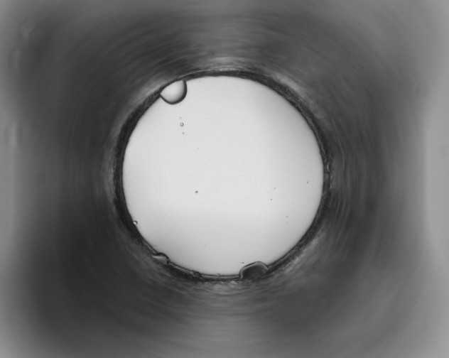 X0000096171410200802151425