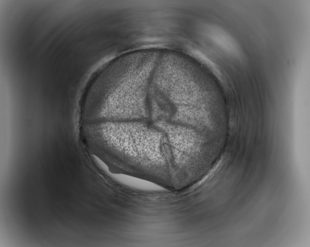 X0000096171411200802151425