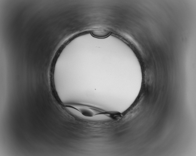 X0000096171412200802151425