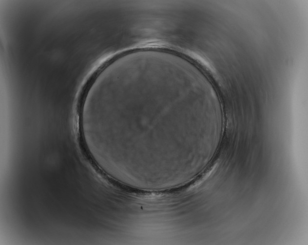 X0000096171414200802151425