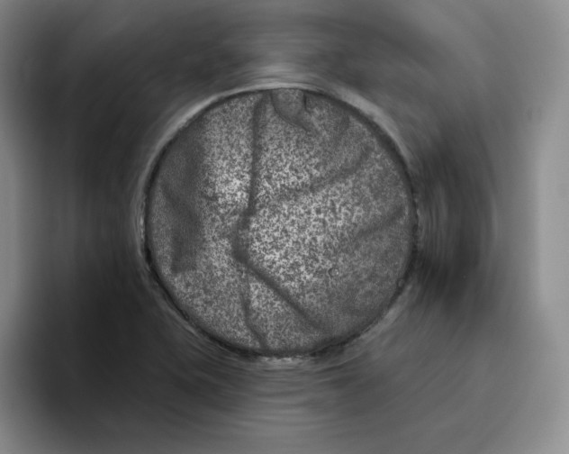 X0000096171415200802151425